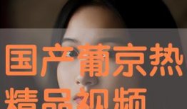 17国产精品视频在线观看,17年精彩在线观看指南